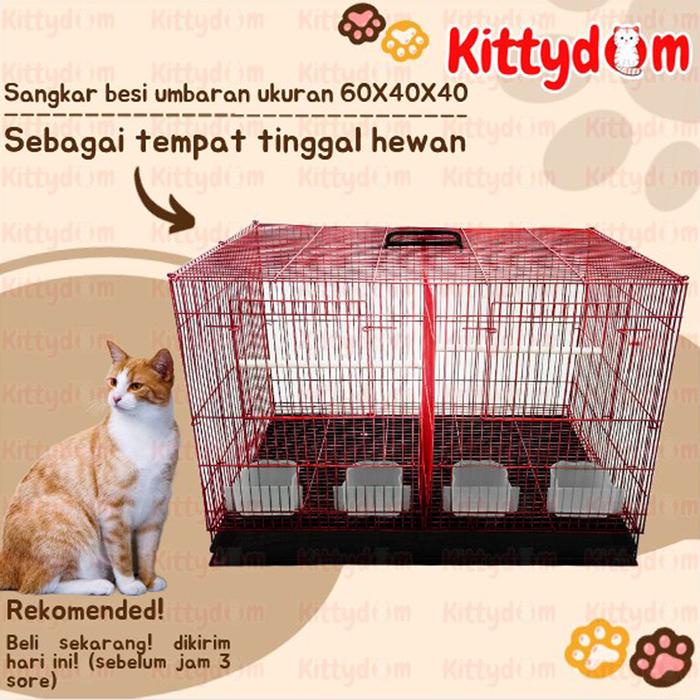 KITTYDOM Sangkar Kandang Sekat Umbaran Size 60x40x40 Sangkar Kotak Besi Kandang Hewan Kucing Anjing