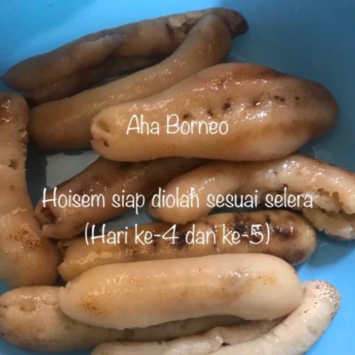 Hoi Sem Kering / Gamat Bintik / Teripang / Tripang / Bintiksem 300 gr / Hoisem