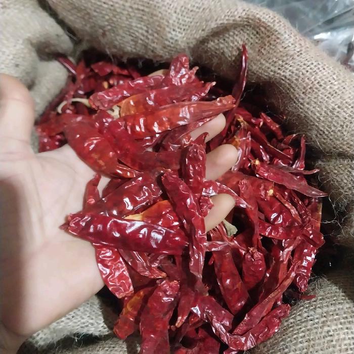

[2kg] Cabe Rawit Merah Kering MEDIUM Teja Japlak impor Super Pedas Food Goreng