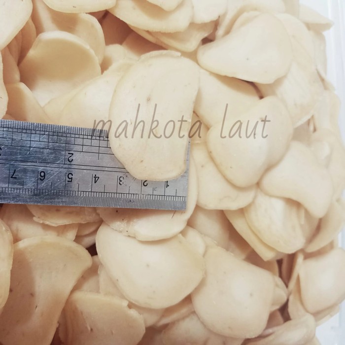 

Terbaru Kerupuk Ikan Tenggiri Super Enak 1Kg Ready