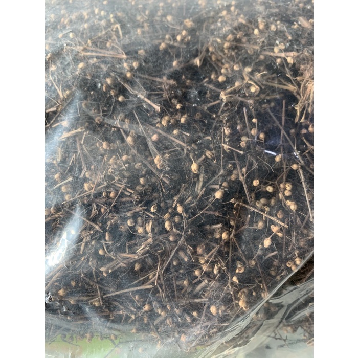 

Mao dan cao / Mao tan cau 50 gram herbal