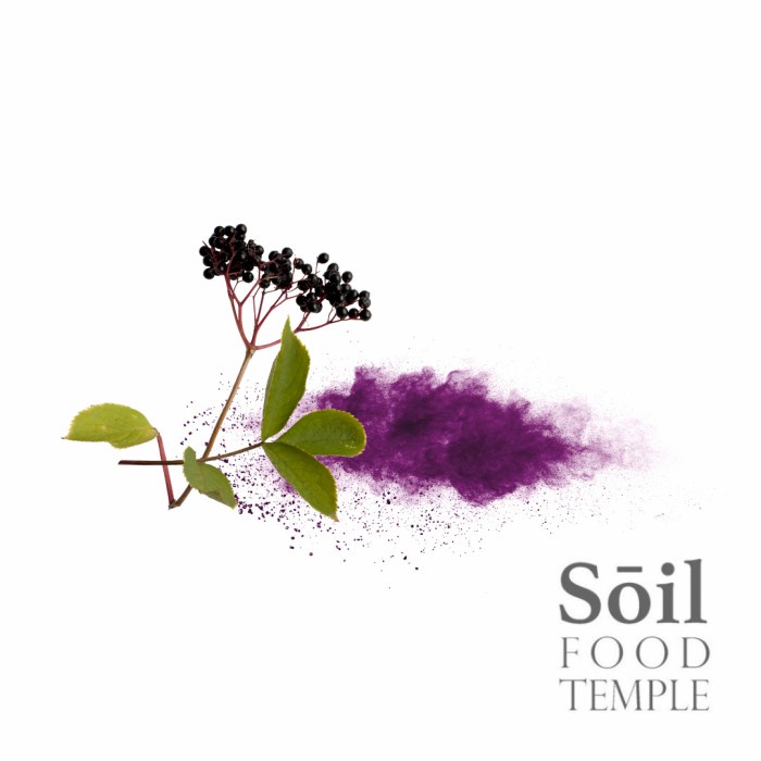 

100gr Elderberry Powder Original - Bubuk Elder berry Asli Berkualitas