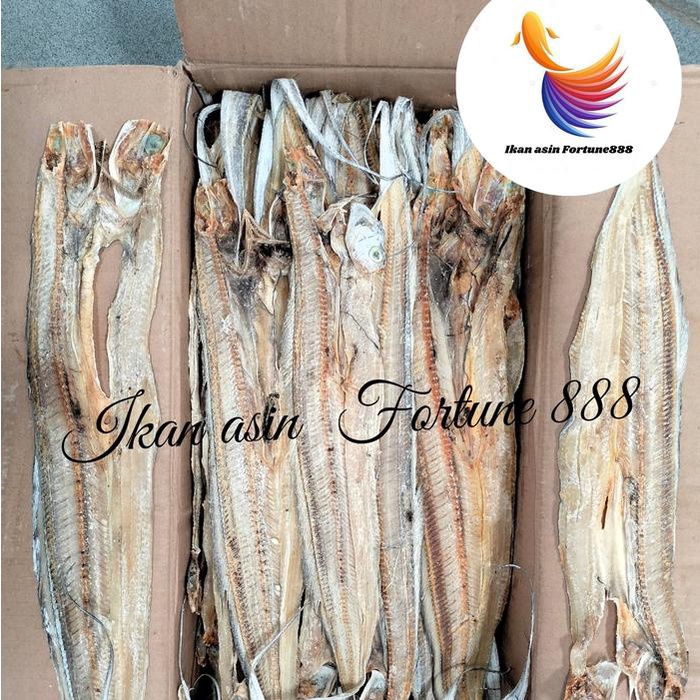 

SALE !!! IKAN ASIN LAYUR BELAH SEMI TAWAR KUALITAS SUPER FISH LAUT READYY