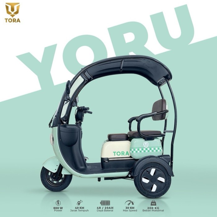 SEPEDA LISTRIK RODA 3 TIGA TUTUP ATAP DEWASA TORA 800 WATT