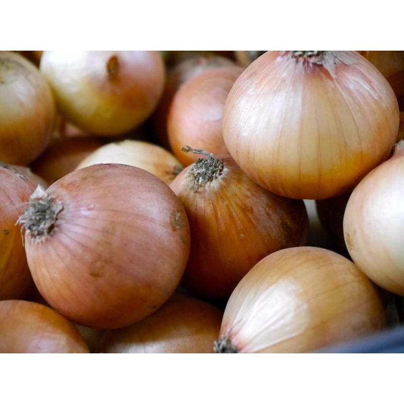 

Bawang Bombay Murah 500gram