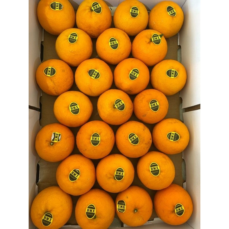 

JERUK WOKAM DMX (BERAT 1 KG)