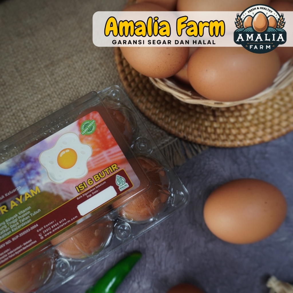 

Amalia Farm - Telur Ayam Negeri Premium Kemasan 10 Butir