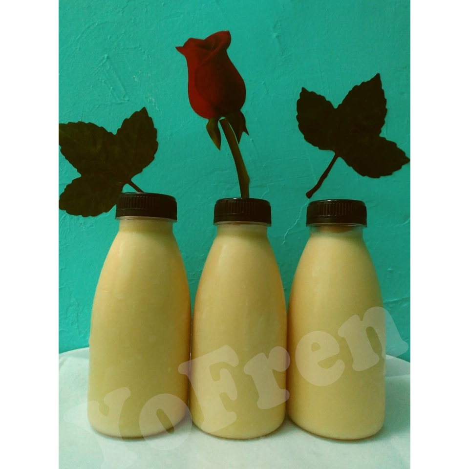 

SUSU KEFIR KOLOSTRUM SAPI