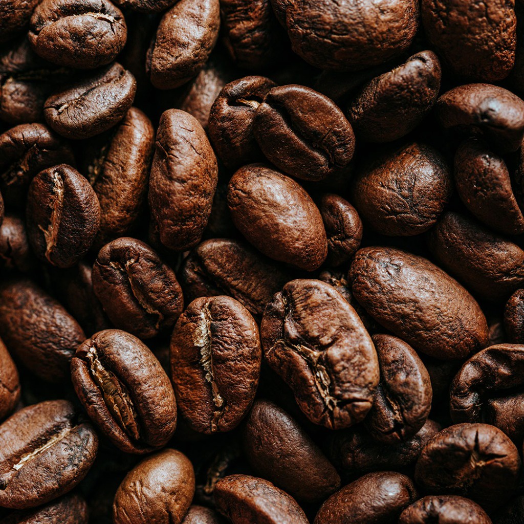 

Robusta Temanggung 100% Robusta Espresso Kopi Susu Best Seller Woodlane Roastery