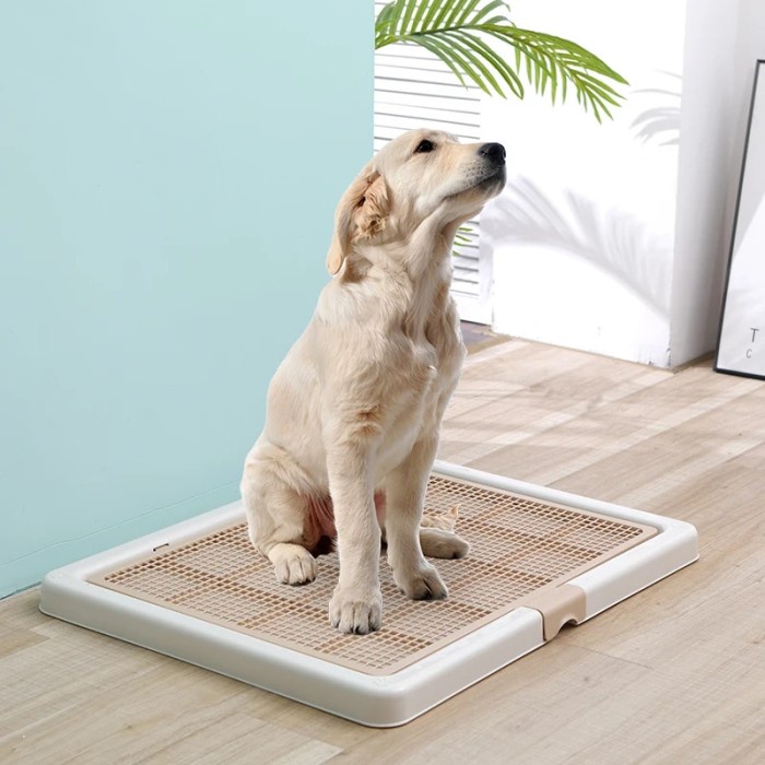 Large Dog Toilet Mat Dog Stuff Indoor Litter Box Tray Labrador Poop