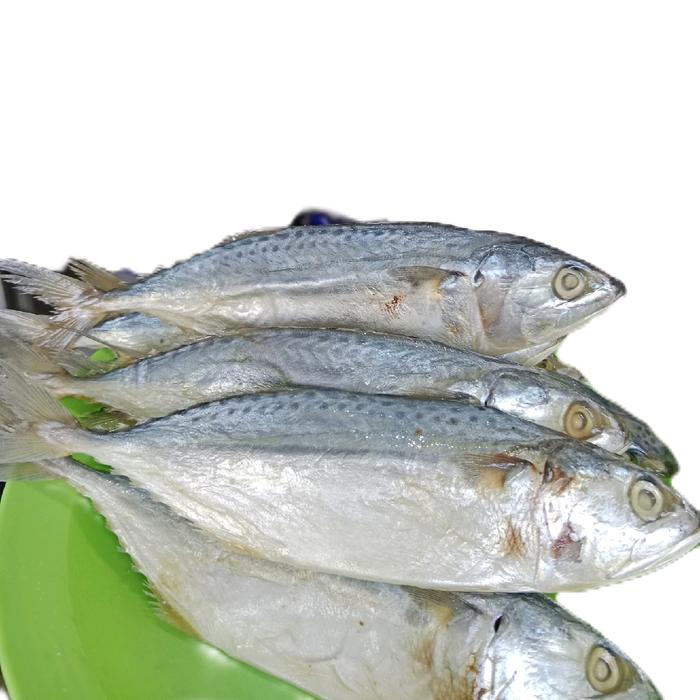 

Ikan Asin Peda Jumbo Food Alami - Ukuran Lebih Besar, Rasa Asin dan Gurih - Makanan, Fish