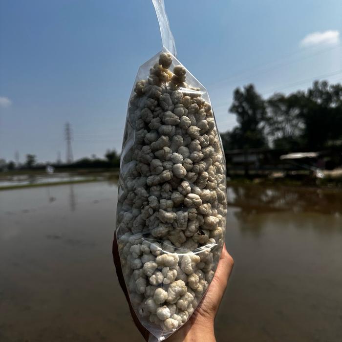 

1KG TIKTAK PILUS KENCUR CIKUR RENYAH