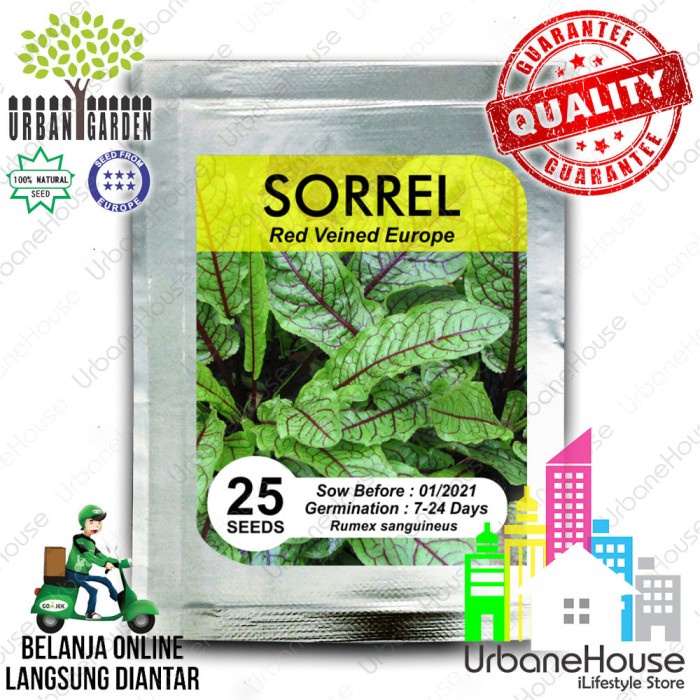 TERBAIK HERBS - Benih SORREL RED VEINED IMPOR Bibit bunga tanaman herba Sorrel