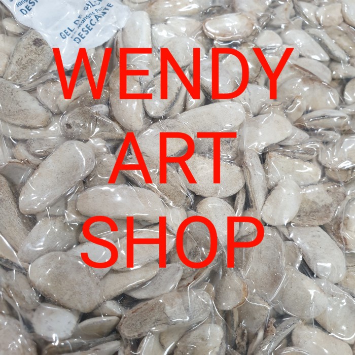 

SALE !!! BIJI MAHONI KUPAS (+/- 500 GRAM) - (+/- 500 ) READYY