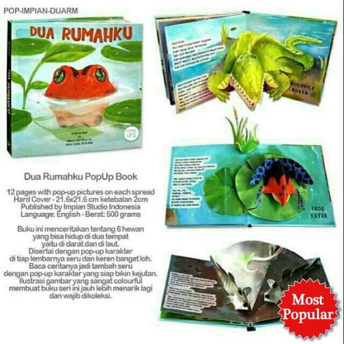 

Pop Up Impian Studio - Dua Rumahku Kode 1432