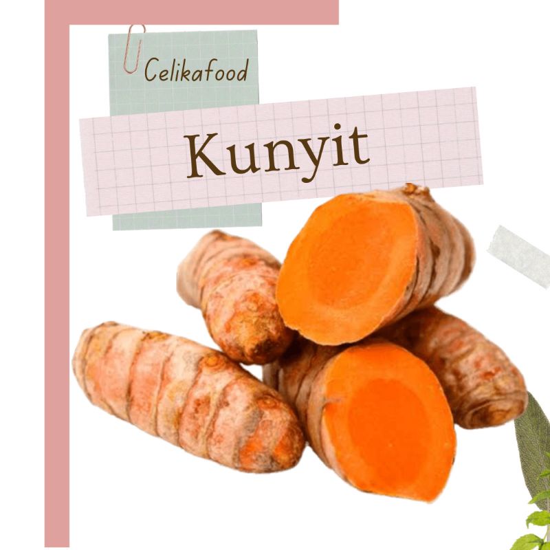 

HJE Kunyit 100gr Koneng Kuning Kunir Turmeric Bumbu Rempah Jamu