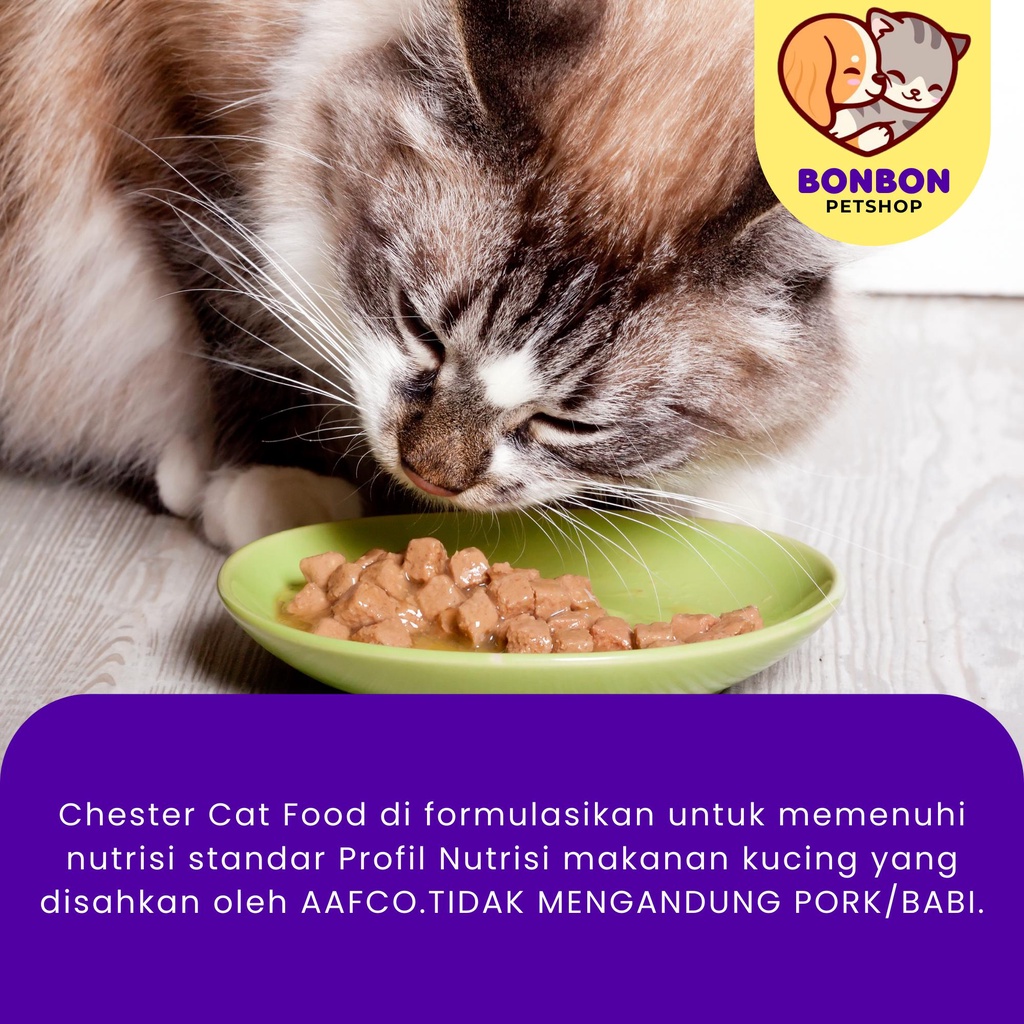 

Chester Makanan Kucing Kering Repack Freshpack 1kg Adult Kitten Dry Cat Food