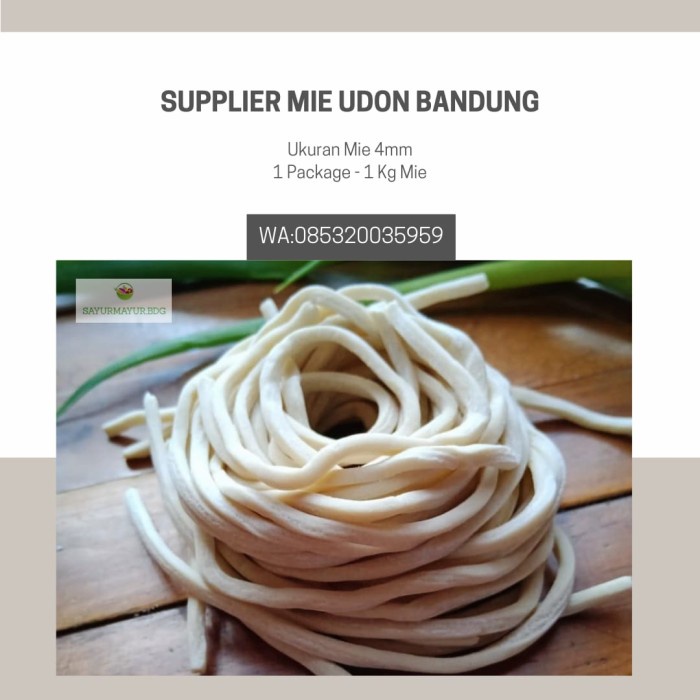 

Ready Mie Udon Mentah Halal Isi 12 Porsi