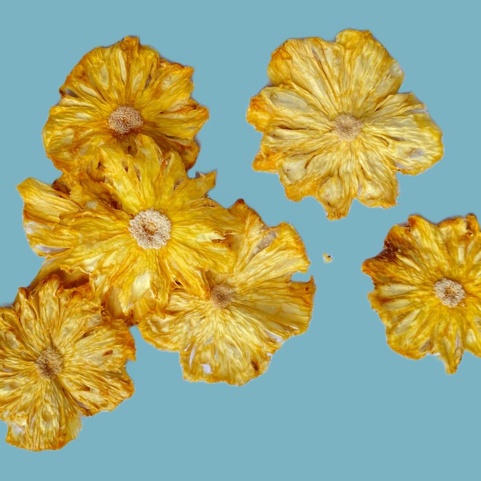 

Garnish Buah Nanas Kering ( Iris bunga) / Dried Pineapple