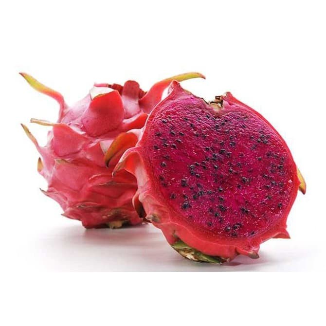 

HJK Buah Naga Merah Segar Sehat 1kg