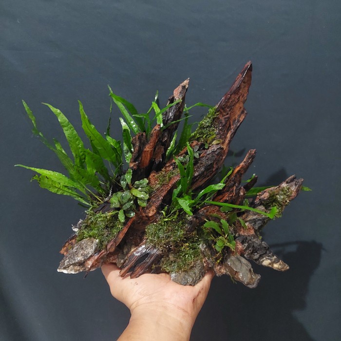 Hardscape Aquascape Natural Custom Ukuran 30 cm