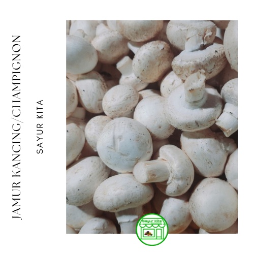 

Jamur Kancing/Champignon