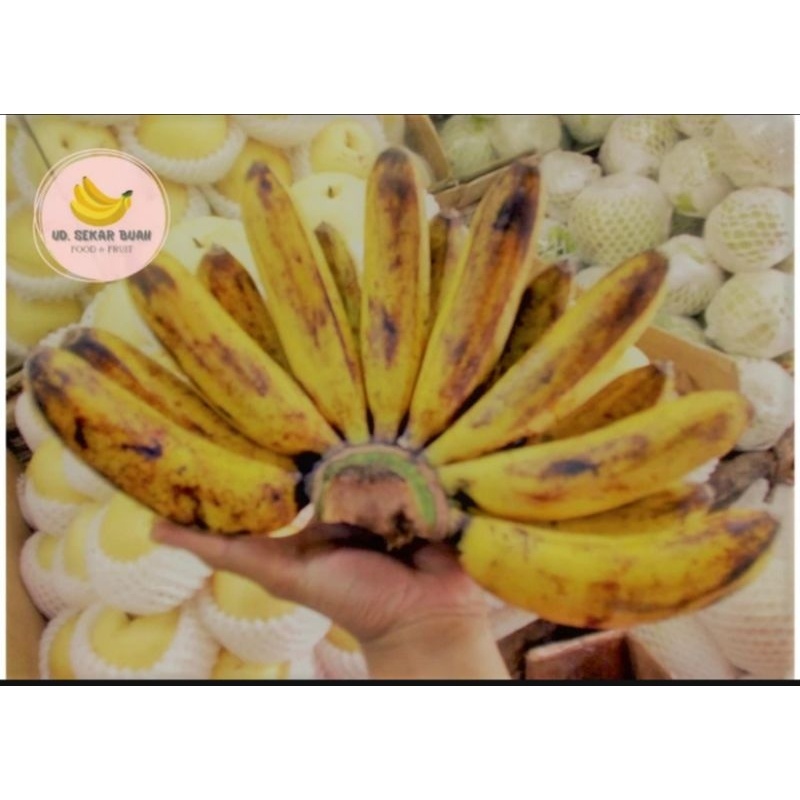 

[KIRIM INSTAN] PISANG BARANGAN MEDAN (1 SISIR)