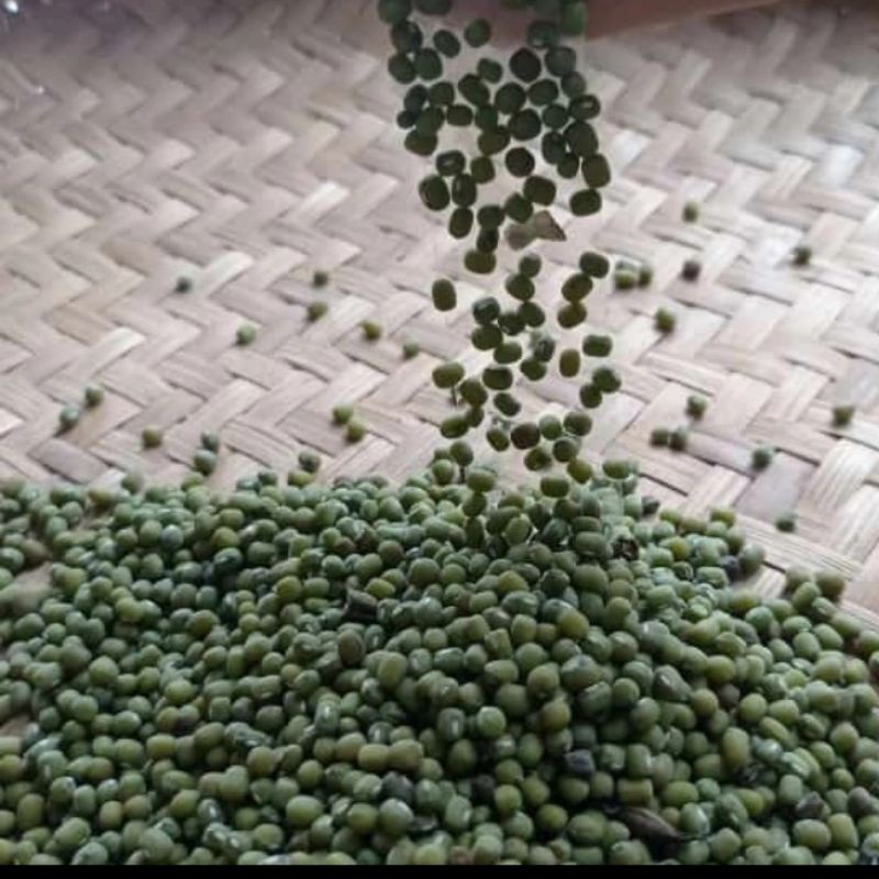 

AQS Kacang Hijau Organik Bergizi Kaya Manfaat 1Kg