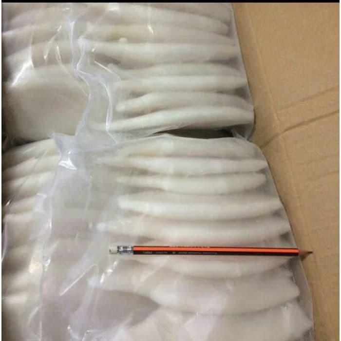 

Cumi Tube Kupas Bersih Segar Beku 1 kg Frozen Seafood