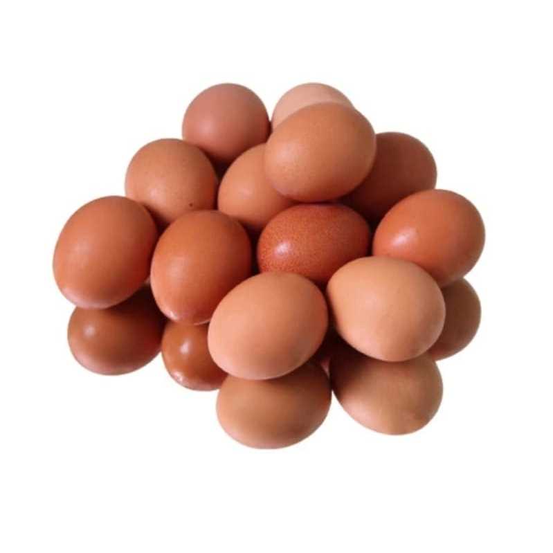 

Telur Ayam Negri 1kg (INSTANT & SAMEDAY)