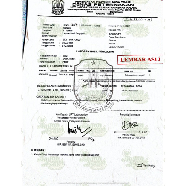 

Telur Omega 3 Paket Hemat Nabati per 1 papan 30 butir Segar dari Kandang NKV