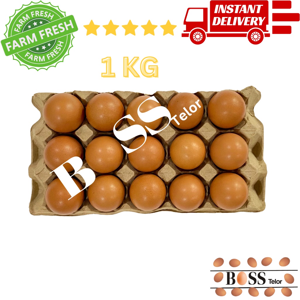 

TELUR AYAM 1 kg (15 butir) NEGRI FRESH