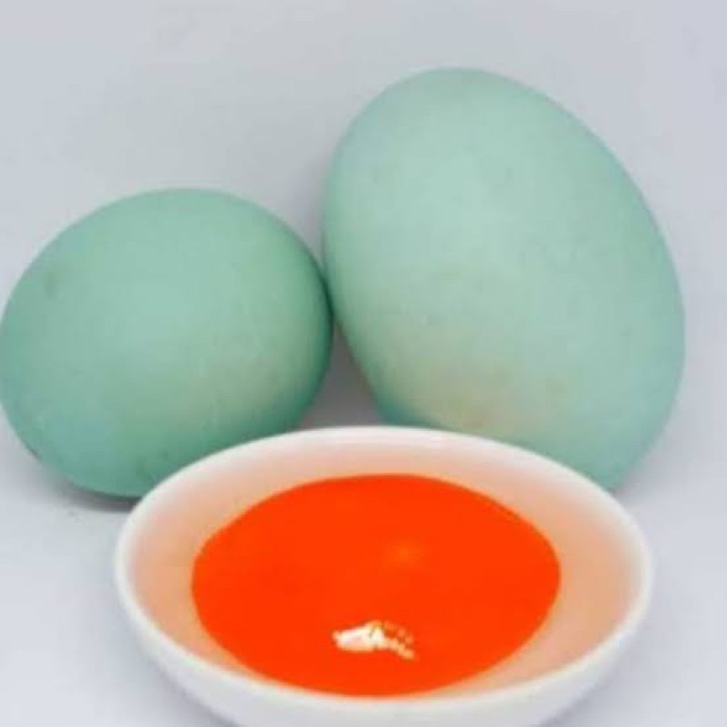 

TELUR BEBEK MENTAH HARGA PER 5 Butir