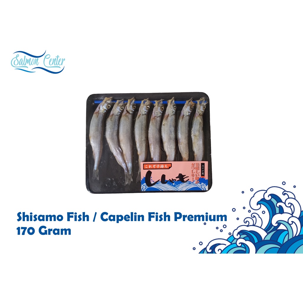 

Shisamo Fish / Capelin Fish Premium