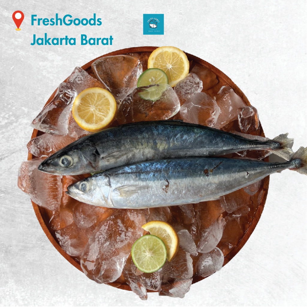 

Ikan Kembung Layang DIJAMIN SEGAR DAN BERKUALITAS By Fresh Goods