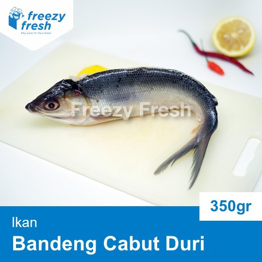 

Bandeng Cabut Duri (Milk Fish) / Segar / Beku / Vacumm Pack