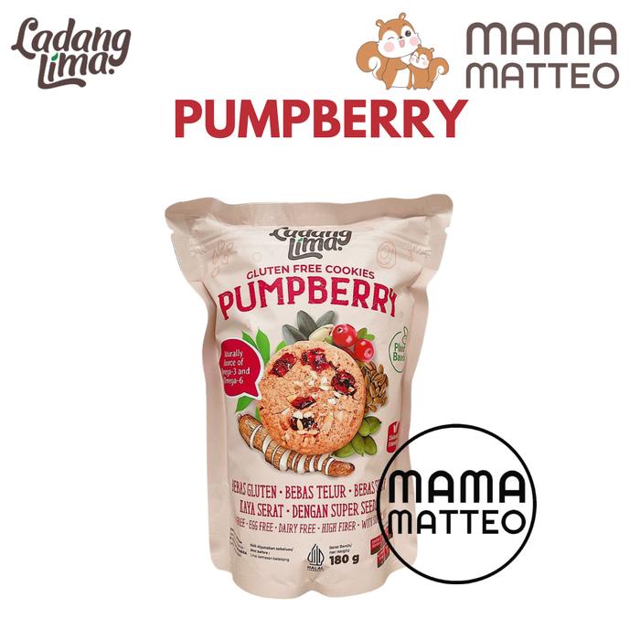 

LADANG LIMA Pumpberry Cookies 180gr Kukis Gluten Free