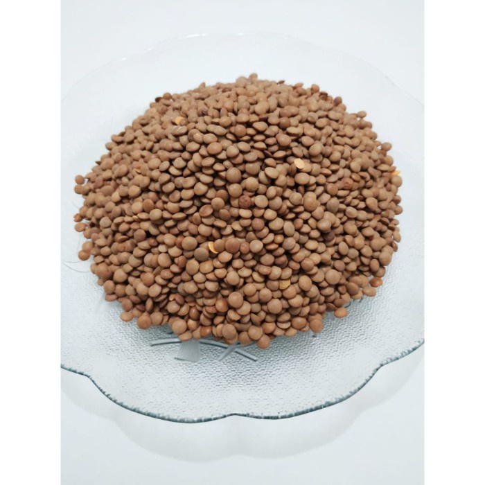 

Natural Brown lentils/ Kacang Lentil Coklate Organic 1 Kg