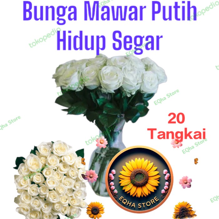 BUNGA MAWAR PUTIH 20 TANGKAI SEGAR