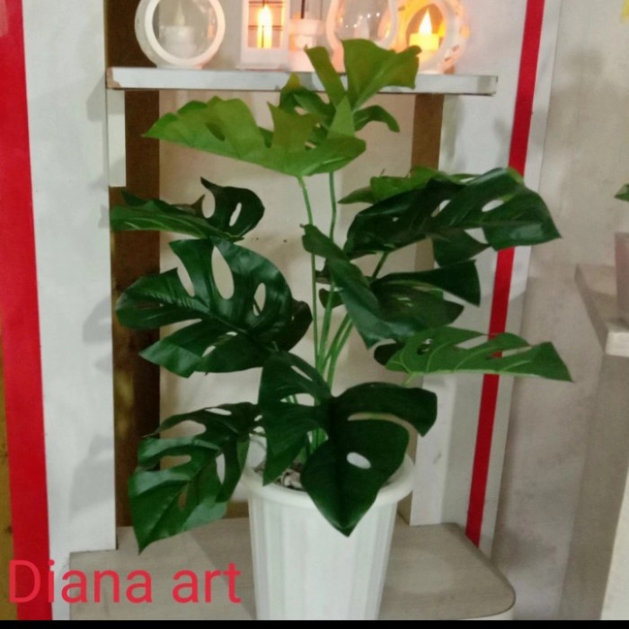 *TOP* DAUN MONSTERA#MONSTERA LATEX#MONSTERA PLASTIK#DAUN PALSU