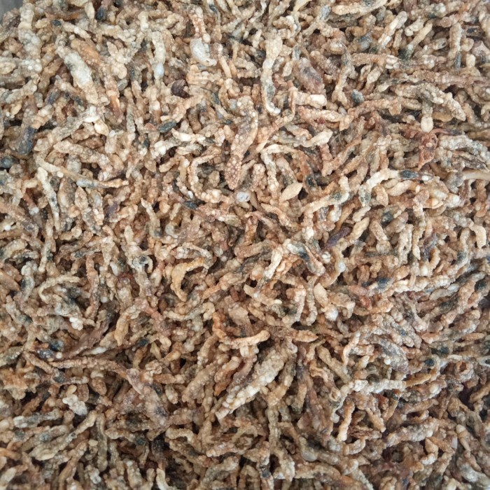 

(Good) LORJUK GORENG SUPER (grinting lorjuk)
