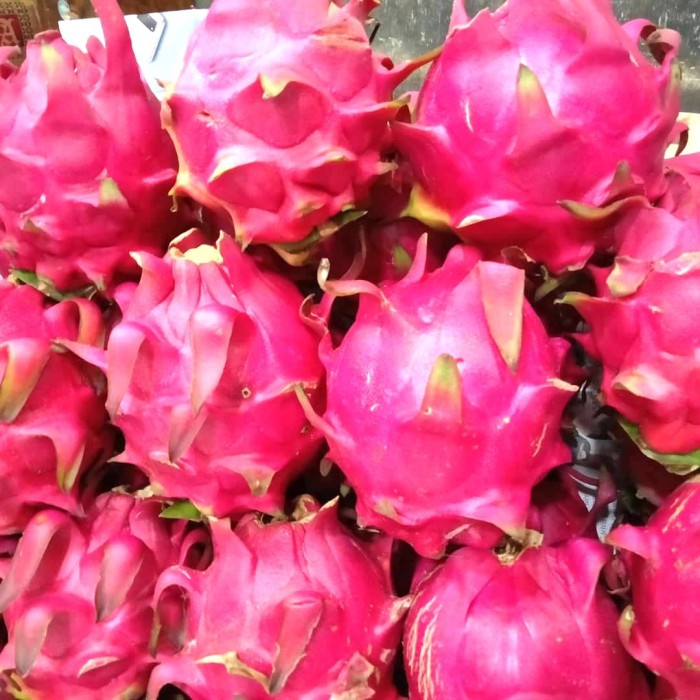 

buah naga lokal/lebih besar dan manis
