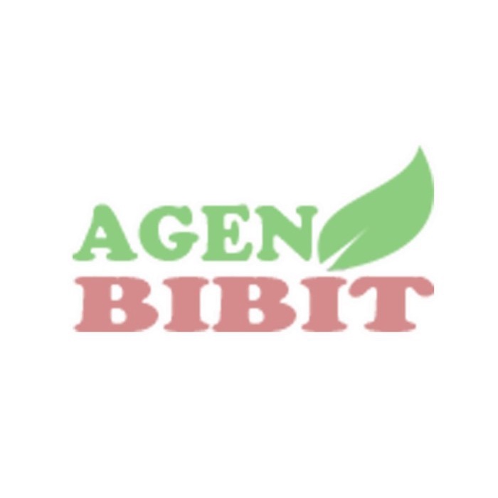 [BestSeller] Bibit Pohon Culan - Tanaman Pacar Cina - Kemuning Cina