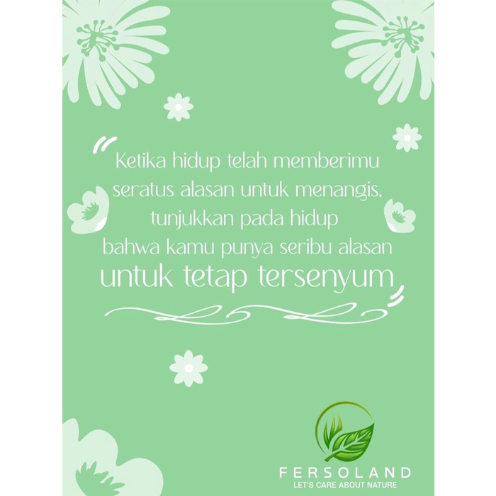 Media tanam aglonema Premium 5 kg / media tanam aglonema fermentasi Tanaman