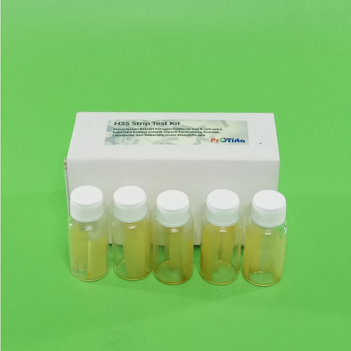 Water Test Kit. Bakteri Patogen Test strip H2S untuk 10 test per pkg