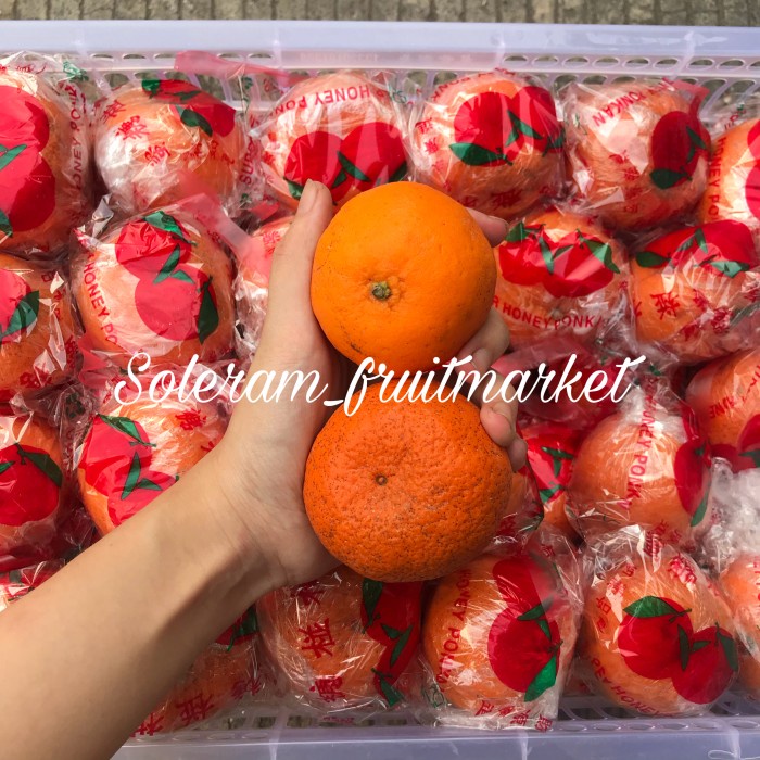 BOOM SALE Jeruk Mandarin PONKAM Keranjang 9 kg Imlek Manis