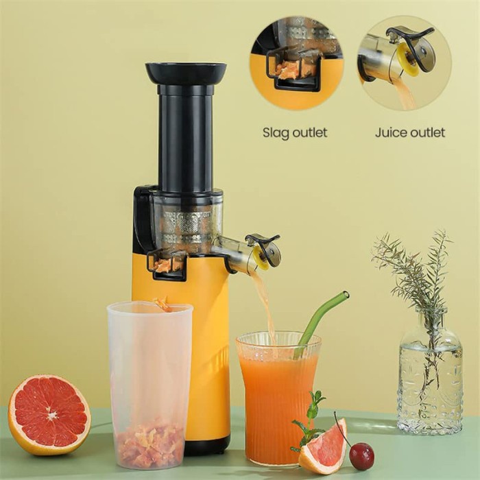Portable Blender Slow Juicer Portable Blender Fruit Vegetable