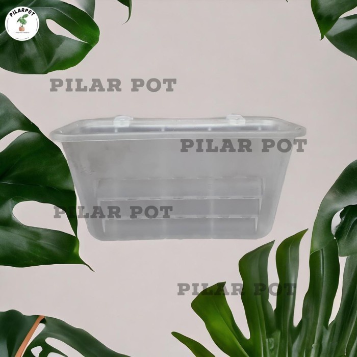 [BestSeller] pot bunga tanaman plastik tempel pelangi bening transparan 22cm - nkt