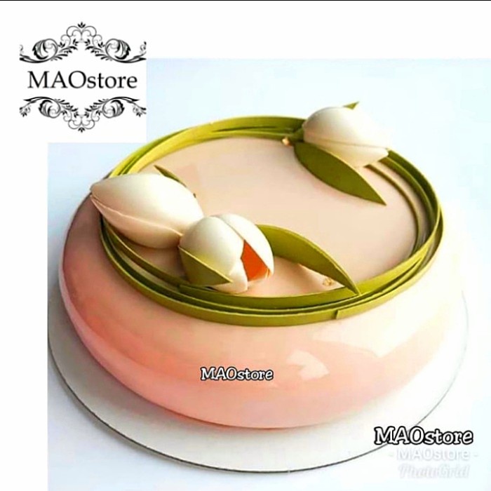 MAOSTORE CETAKAN ENTREMET CAKE CETAKAN ECLIPSE MIRROR CAKE MOUSSE CAKE