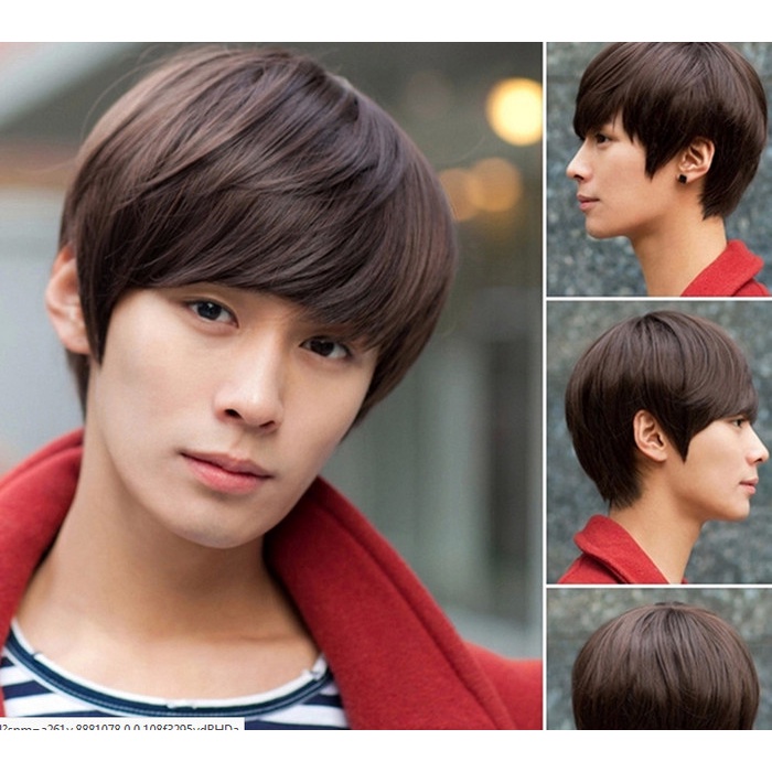 PREMIUM Wig Pria Korea - Rambut Wig Pria Wanita